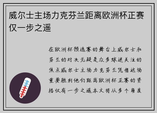威尔士主场力克芬兰距离欧洲杯正赛仅一步之遥